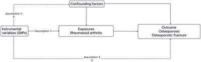 Application of two-sample Mendelian randomization method to assess the causal relationship between rheumatoid arthritis and osteoporotic fracture